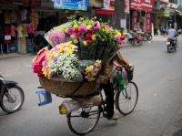 Flower seller on a bicycle 