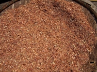 Turmeric at the market