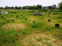 Cemetery in Hue