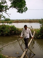 Bicycle guide crossing a local bridge