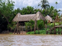 House in the Mekong Delta