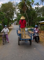Woman in the back of a horse-drawn cart