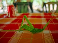 Origami grasshopper made from a bamboo leaf